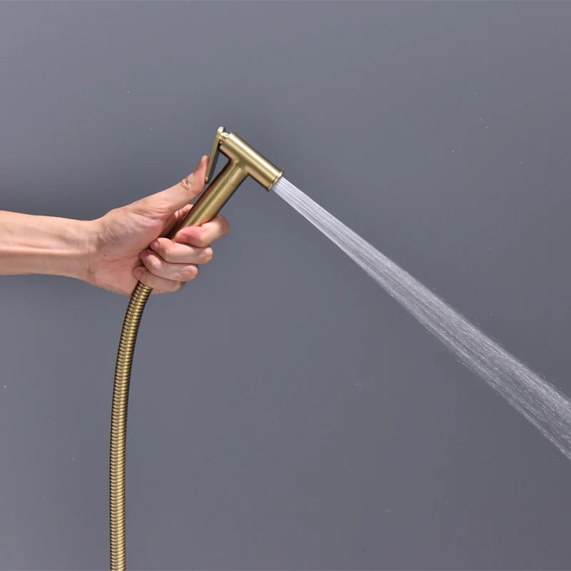 Brushed Bidet Brass Sprayer Concealed Button Brass Valve with Commodity Shelf Paper Holder High Pressure Sprayer 1.5M Hose